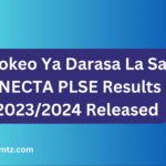 Matokeo Ya Darasa La Saba |NECTA PLSE Results 2023/2024 Released